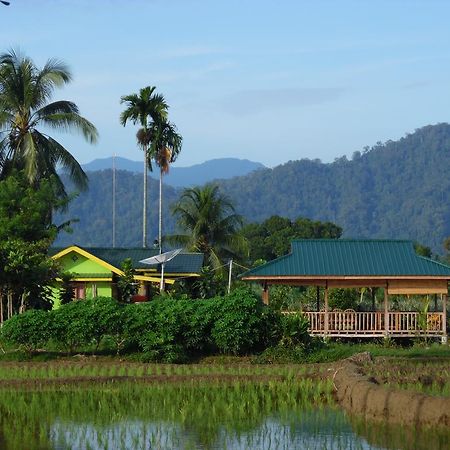 Ambow Homestay Jungle Trekking & Village Tour Bukit Lawang Exterior photo