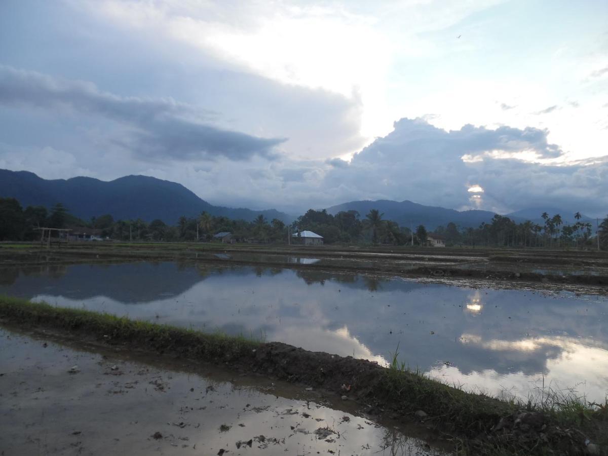 Ambow Homestay Jungle Trekking & Village Tour Bukit Lawang Exterior photo