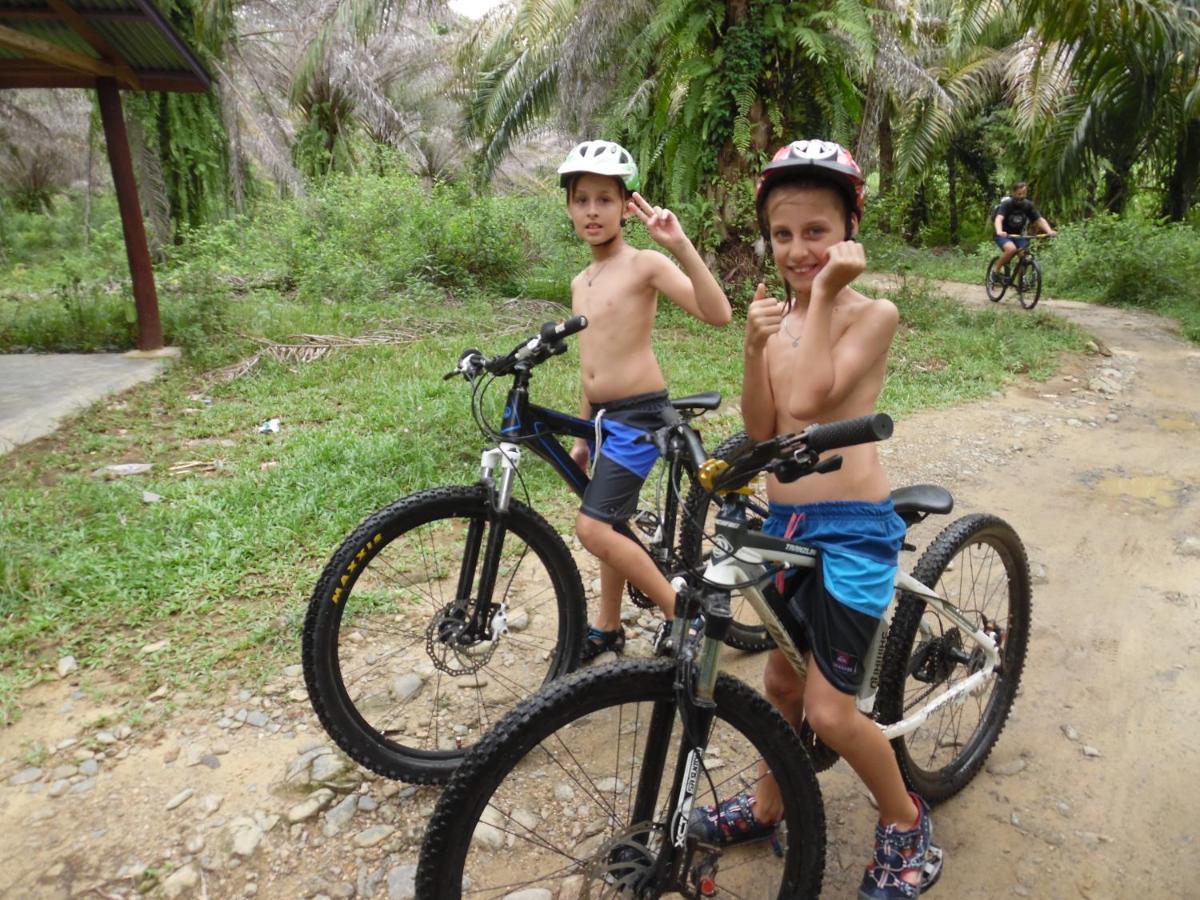 Ambow Homestay Jungle Trekking & Village Tour Bukit Lawang Exterior photo