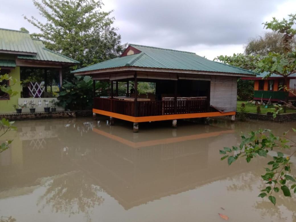 Ambow Homestay Jungle Trekking & Village Tour Bukit Lawang Exterior photo