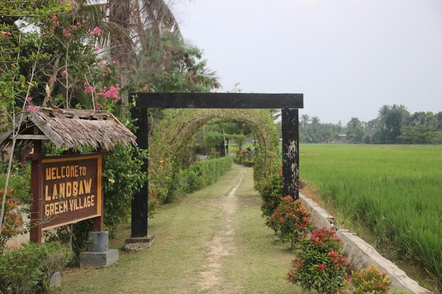 Ambow Homestay Jungle Trekking & Village Tour Bukit Lawang Exterior photo