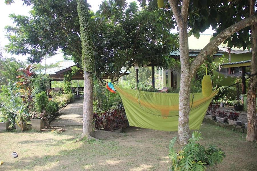 Ambow Homestay Jungle Trekking & Village Tour Bukit Lawang Exterior photo