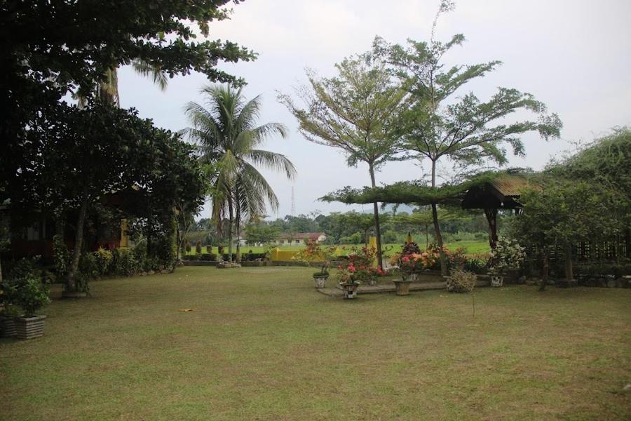 Ambow Homestay Jungle Trekking & Village Tour Bukit Lawang Exterior photo