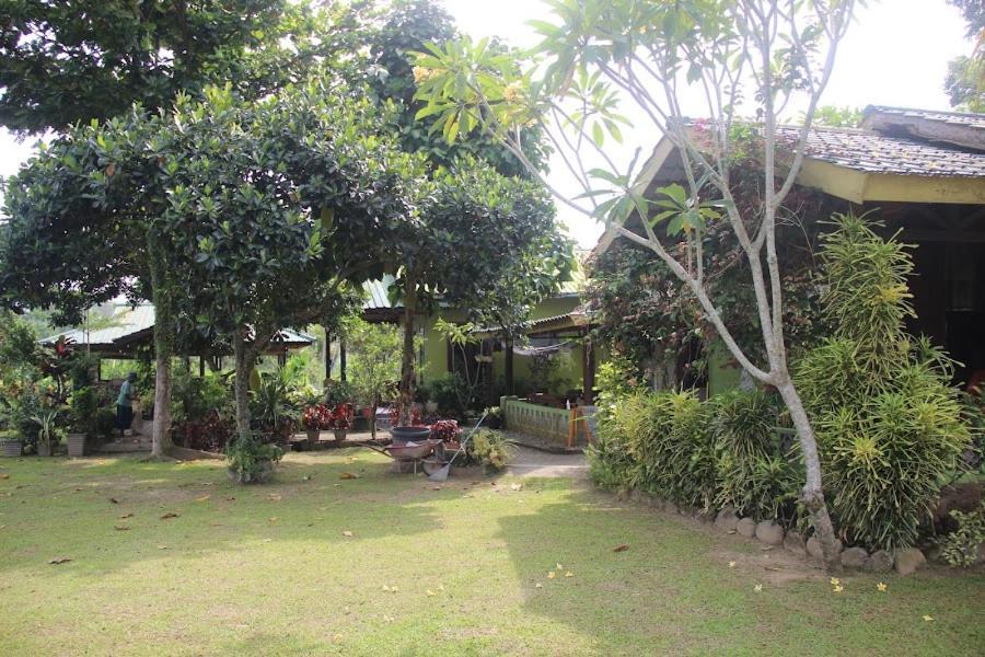 Ambow Homestay Jungle Trekking & Village Tour Bukit Lawang Exterior photo