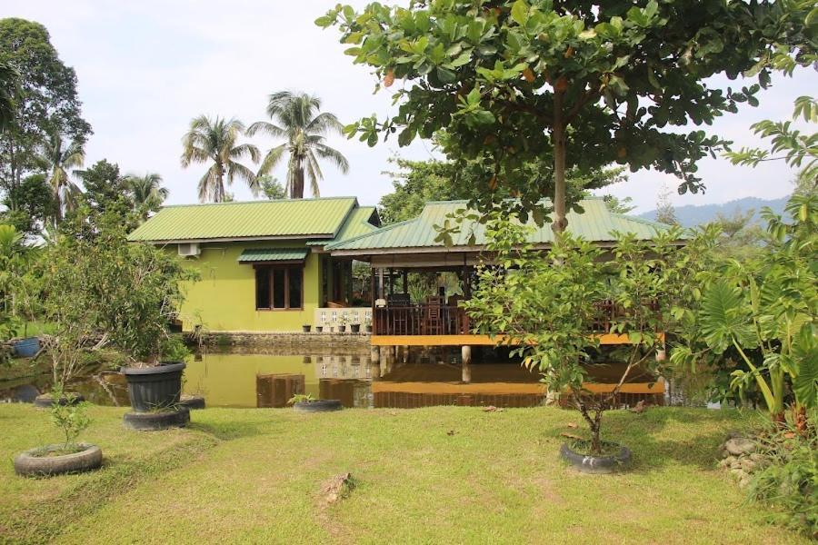 Ambow Homestay Jungle Trekking & Village Tour Bukit Lawang Exterior photo