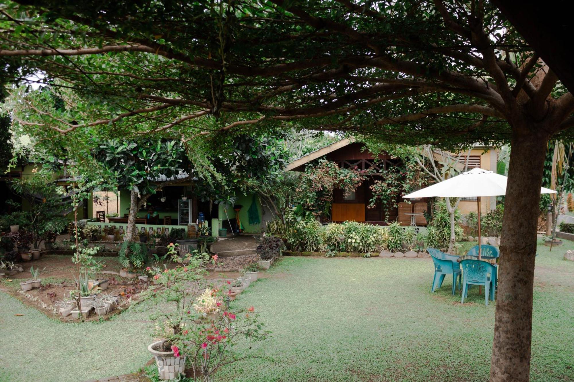 Ambow Homestay Jungle Trekking & Village Tour Bukit Lawang Exterior photo