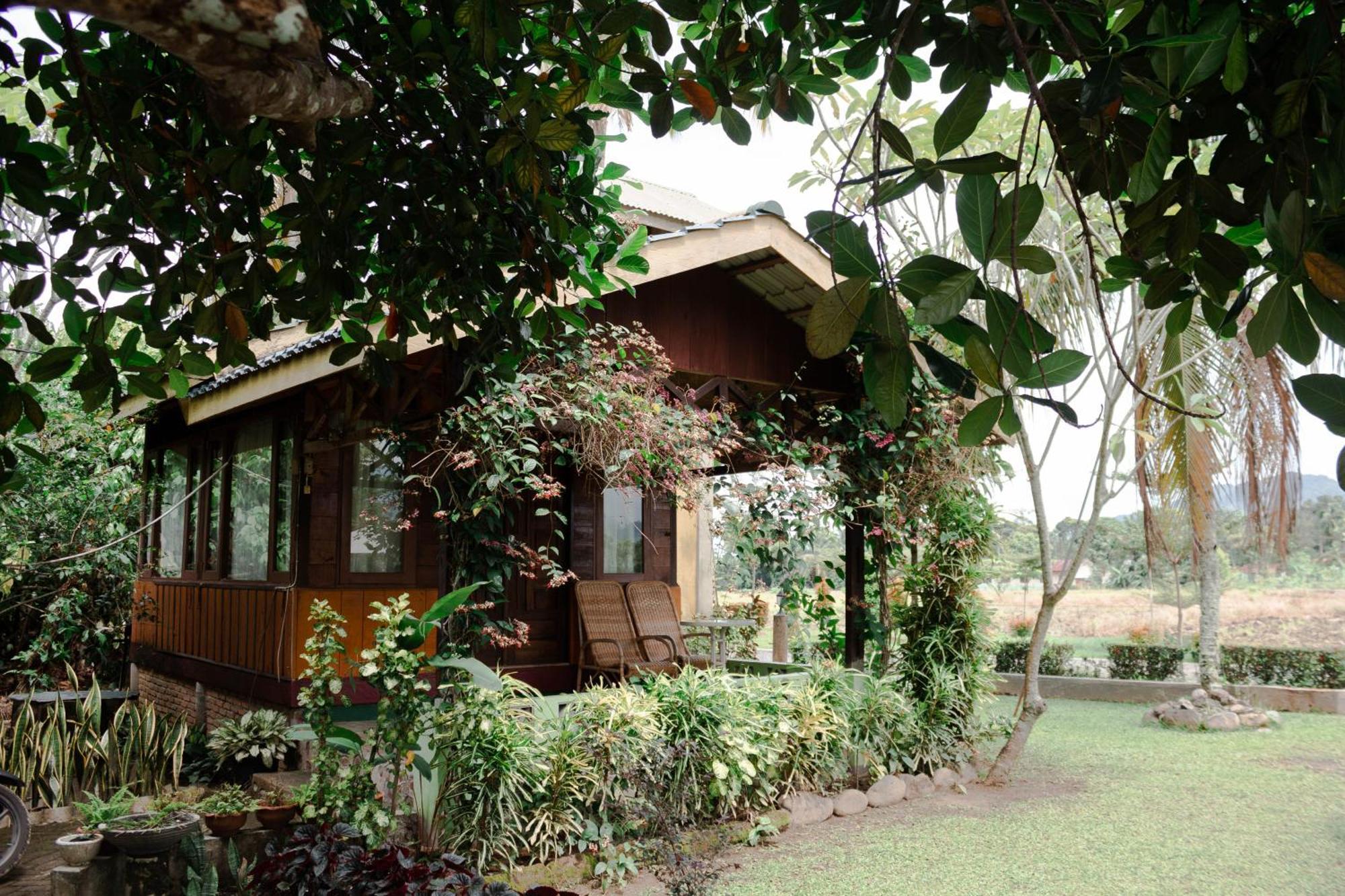 Ambow Homestay Jungle Trekking & Village Tour Bukit Lawang Exterior photo