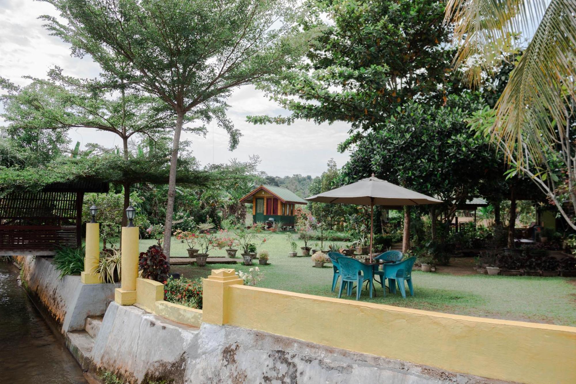 Ambow Homestay Jungle Trekking & Village Tour Bukit Lawang Exterior photo