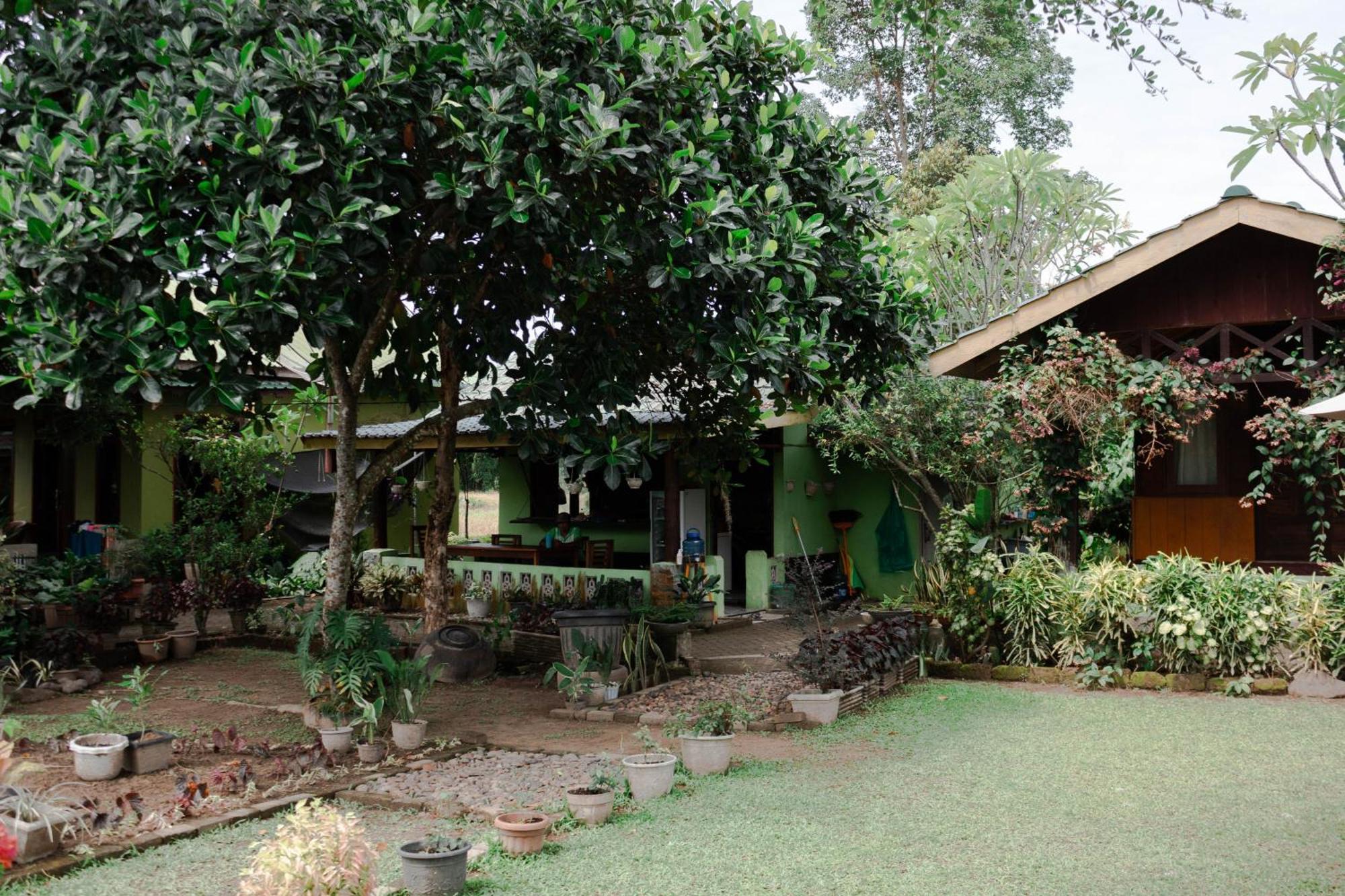 Ambow Homestay Jungle Trekking & Village Tour Bukit Lawang Exterior photo