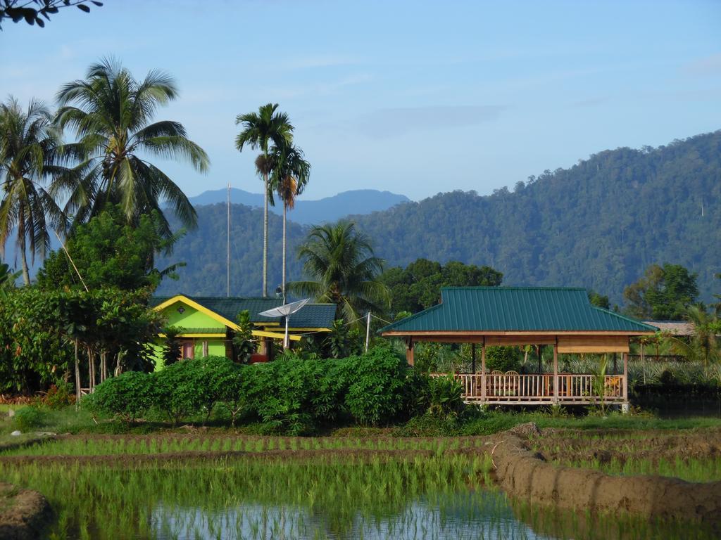 Ambow Homestay Jungle Trekking & Village Tour Bukit Lawang Exterior photo