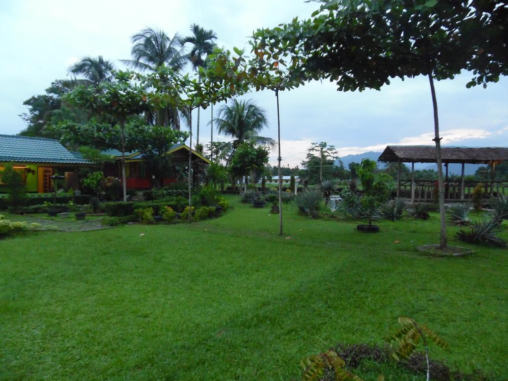 Ambow Homestay Jungle Trekking & Village Tour Bukit Lawang Exterior photo
