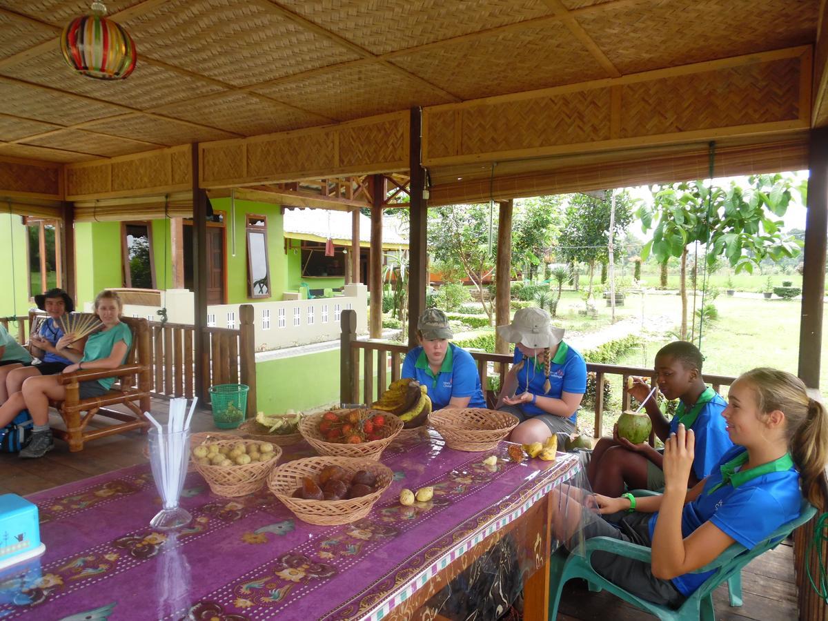Ambow Homestay Jungle Trekking & Village Tour Bukit Lawang Exterior photo