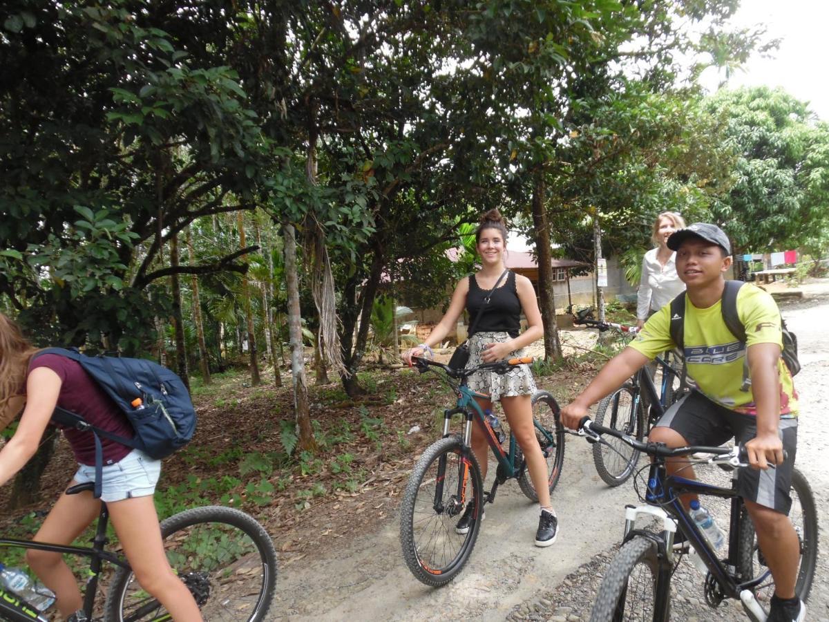 Ambow Homestay Jungle Trekking & Village Tour Bukit Lawang Exterior photo