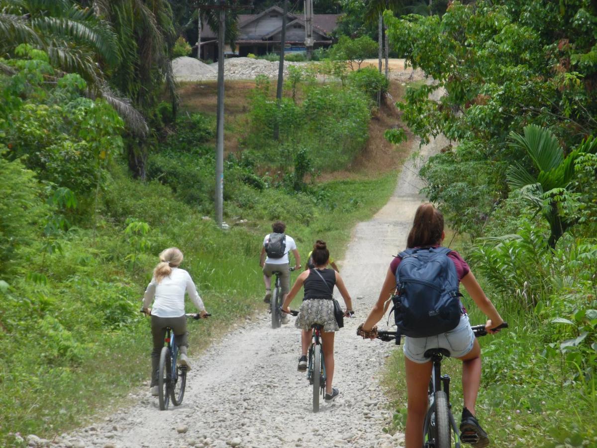 Ambow Homestay Jungle Trekking & Village Tour Bukit Lawang Exterior photo