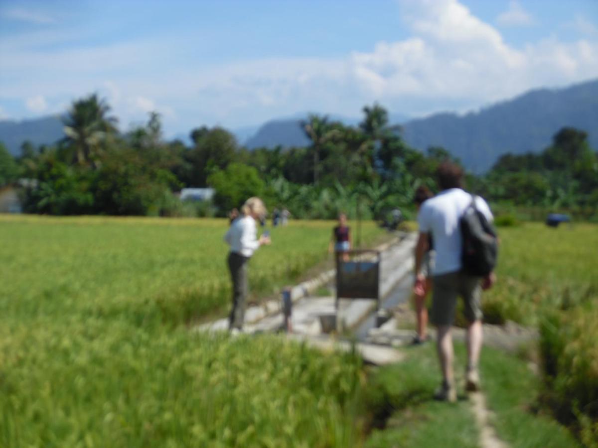 Ambow Homestay Jungle Trekking & Village Tour Bukit Lawang Exterior photo