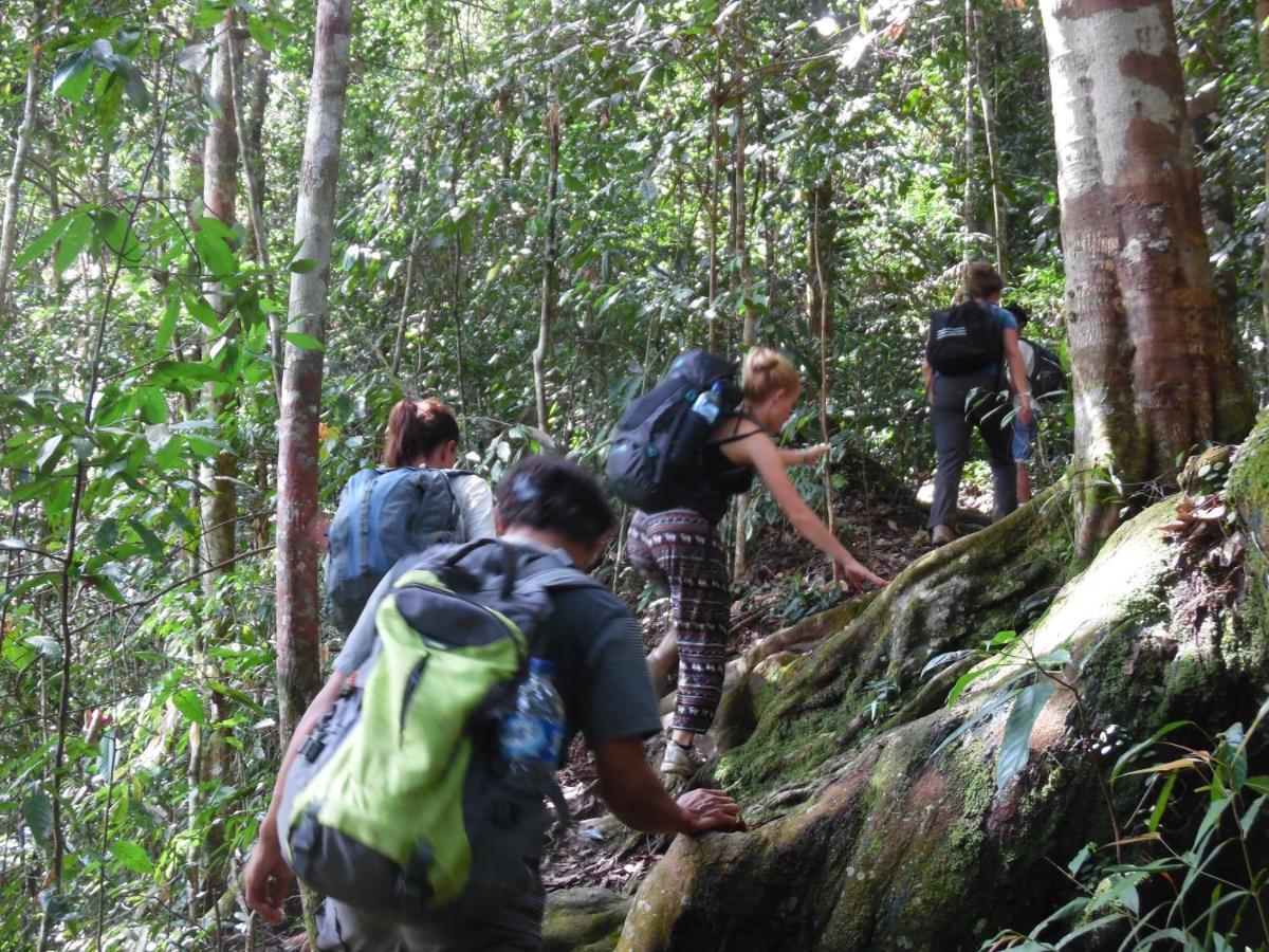 Ambow Homestay Jungle Trekking & Village Tour Bukit Lawang Exterior photo