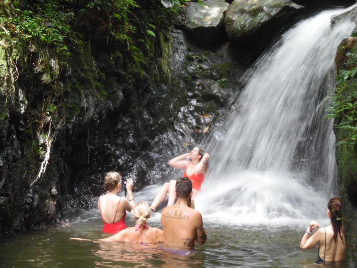 Ambow Homestay Jungle Trekking & Village Tour Bukit Lawang Exterior photo