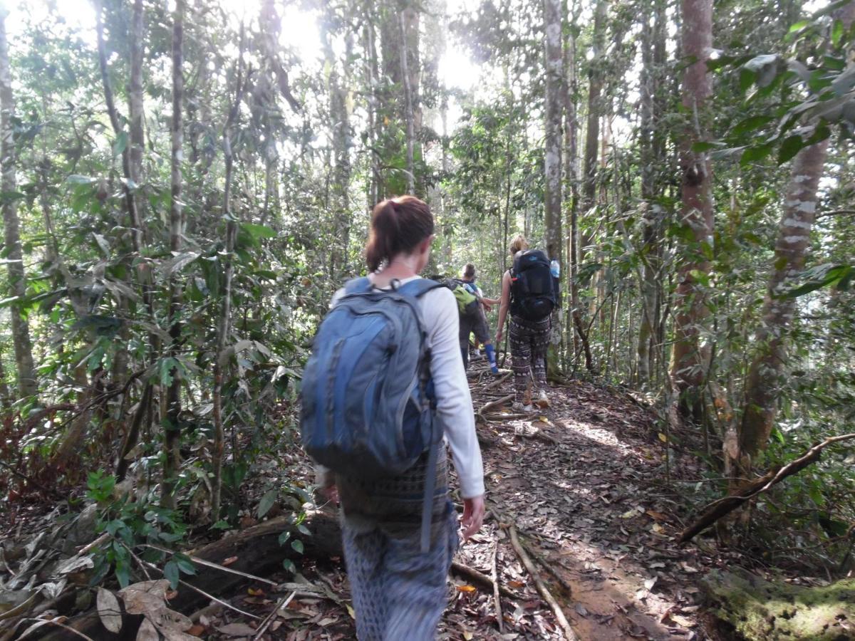 Ambow Homestay Jungle Trekking & Village Tour Bukit Lawang Exterior photo