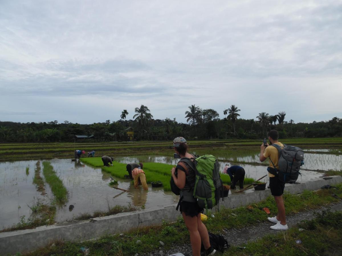 Ambow Homestay Jungle Trekking & Village Tour Bukit Lawang Exterior photo